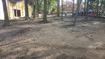Img 1511759005180 1511759322254