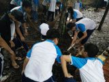 Img 20161107 123705