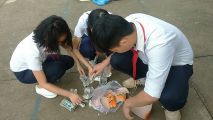 Img 20170116 130137