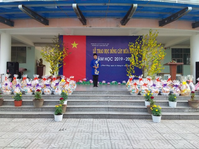 vn