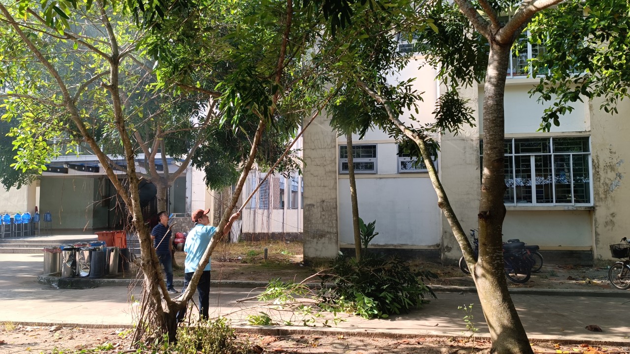 Chăm sóc và bảo vệ cây xanh- xây dựng trường học xanh, sạch đẹp- bảo vệ môi trường